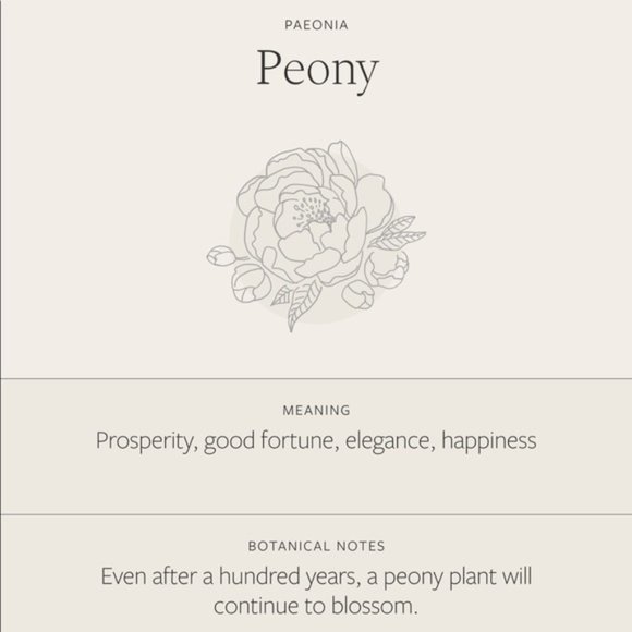 Peony November Birth Flower Engraved Boho Necklace - Picture 5 of 15